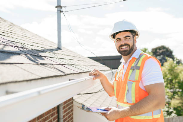 Best Roof Gutter Cleaning  in Rockwood, MI