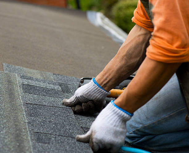 Professional Roofing Contractor in Rockwood, MI