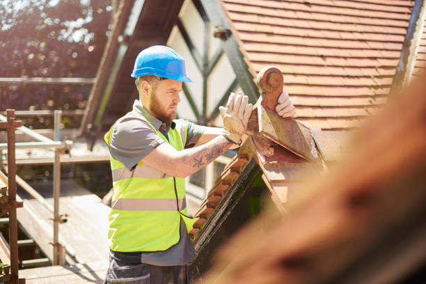 Best Roofing Contractor Near Me  in Rockwood, MI